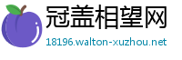 冠盖相望网